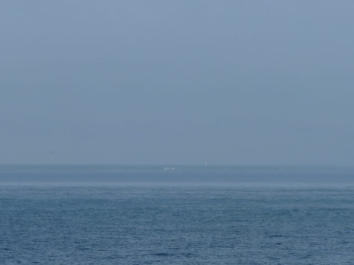 P1000828(1)