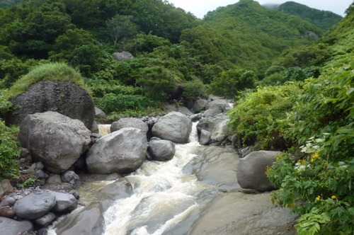 P1010403(1)