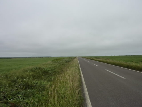 P1010113(1)