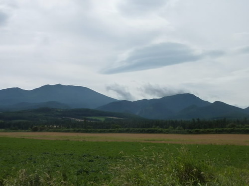 P1000949(1)