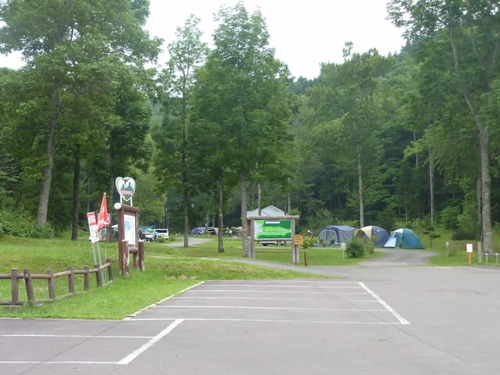 P1000667(1)