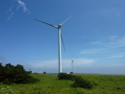 P1000815(1)