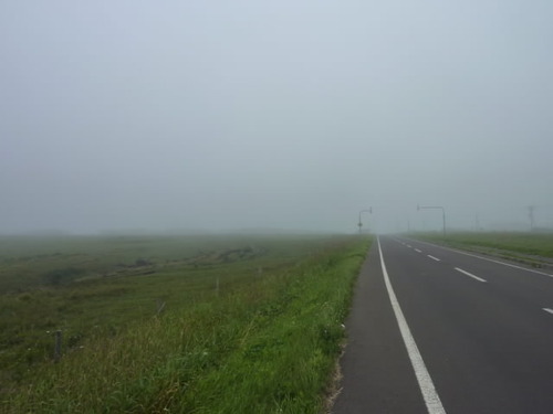 P1000860(1)