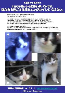 里親探しています