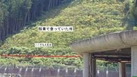 大川小浦山授業