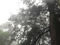 2015-08-13-11-48-37
