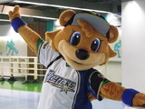 IMGP4534★カービー