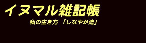 burogutaitoru