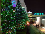 イルミネーション新宿①