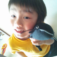 jin1