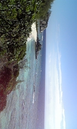 58dc7c89.jpg