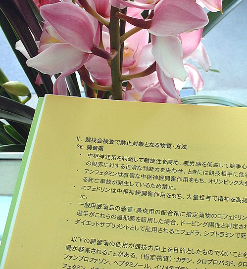 ���Ĳ�Ǥζػ���ʬ
