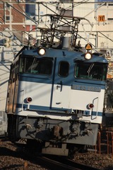 IMG_1763-1