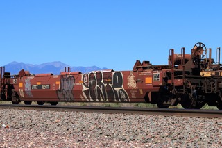IMG_8167