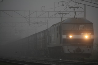 IMG_7766