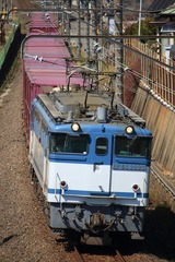 IMG_8401-1