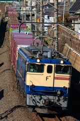 IMG_0448-1