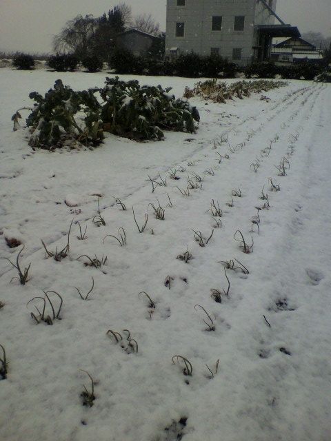201201202