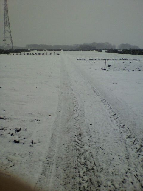 20120120
