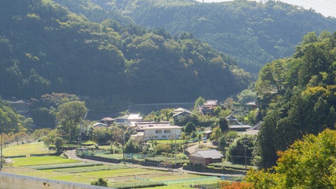 DSC03340