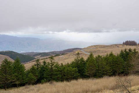 DSC08640