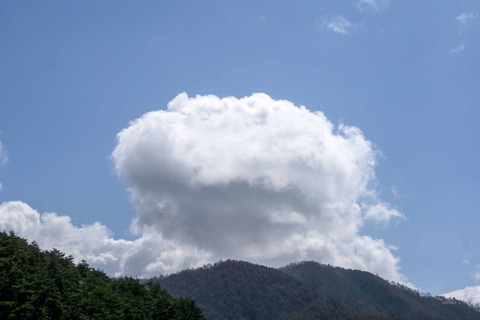 DSC08667