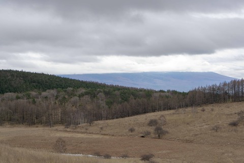 DSC08636