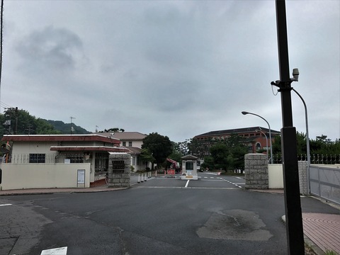 IMG_6111 (3)