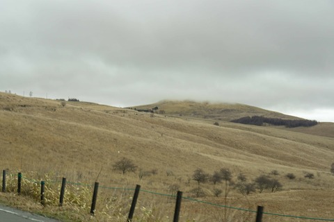 DSC08633