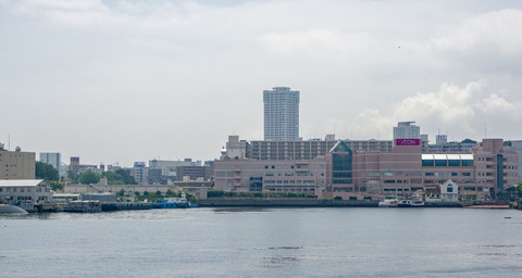 DSC02824