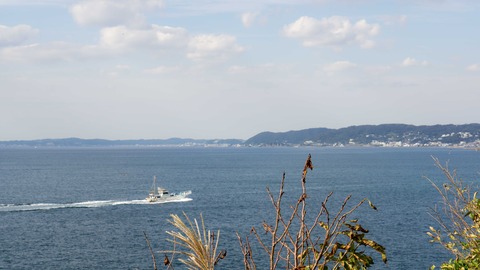 DSC03210