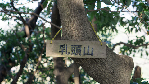 DSC03632
