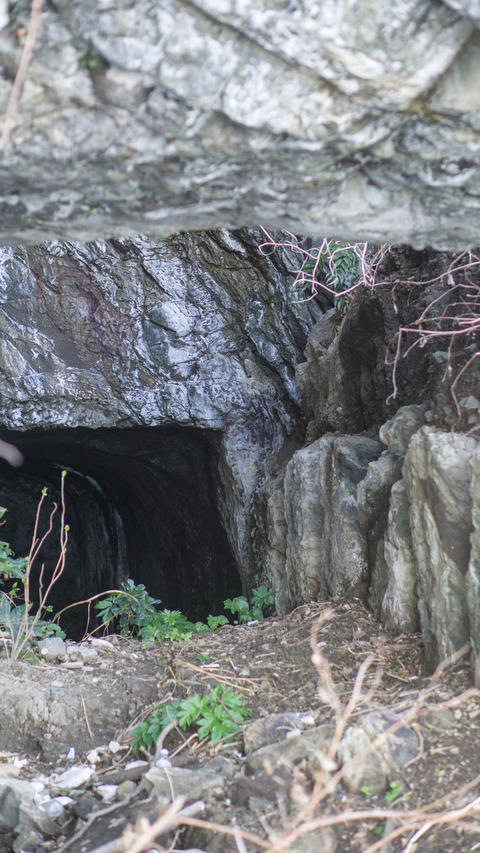 DSC05160