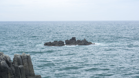 DSC06491