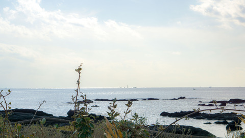 DSC03707