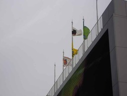 DSCN4523