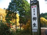 yagyuu 8