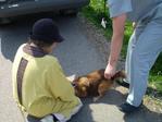 20080425001
