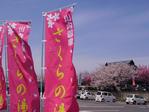 20080406002