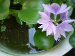 20100722002