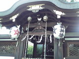 41c58997.jpg
