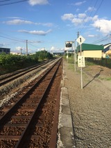 IMG_0982