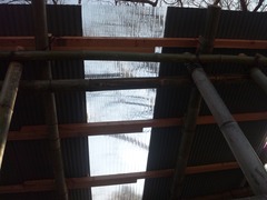 屋根