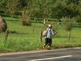 494abde6.jpg