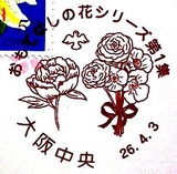 591b4f58.jpg