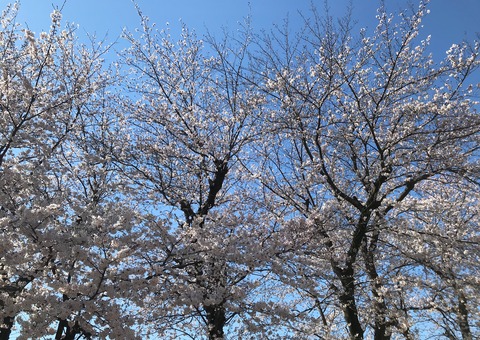 B84C6929-4303-4618-AEE5-41C996E6BE36