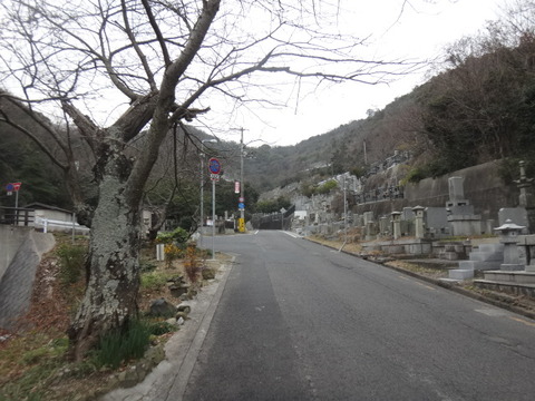 DSC07051