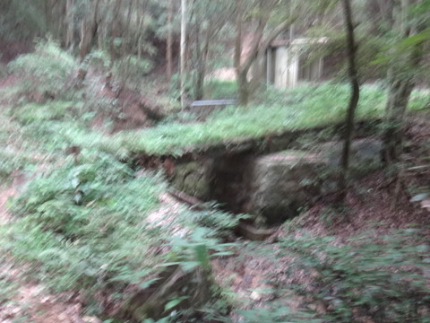 DSC01534