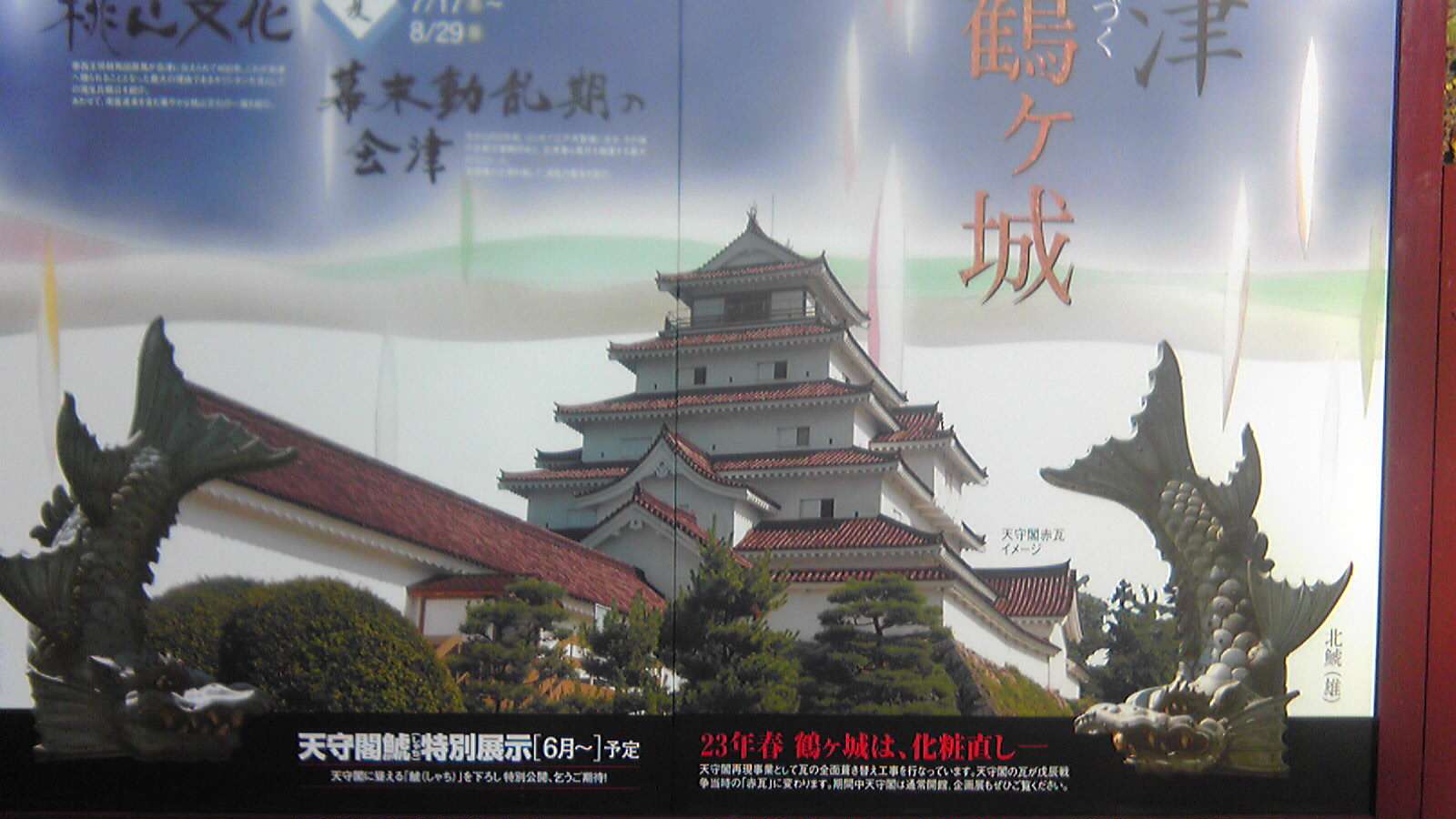 Image7321
