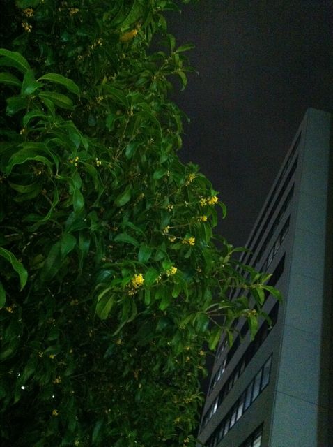 Evernote Camera Roll 20121003 233154